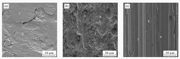 GR12 Titanium Clad Steel Plate price